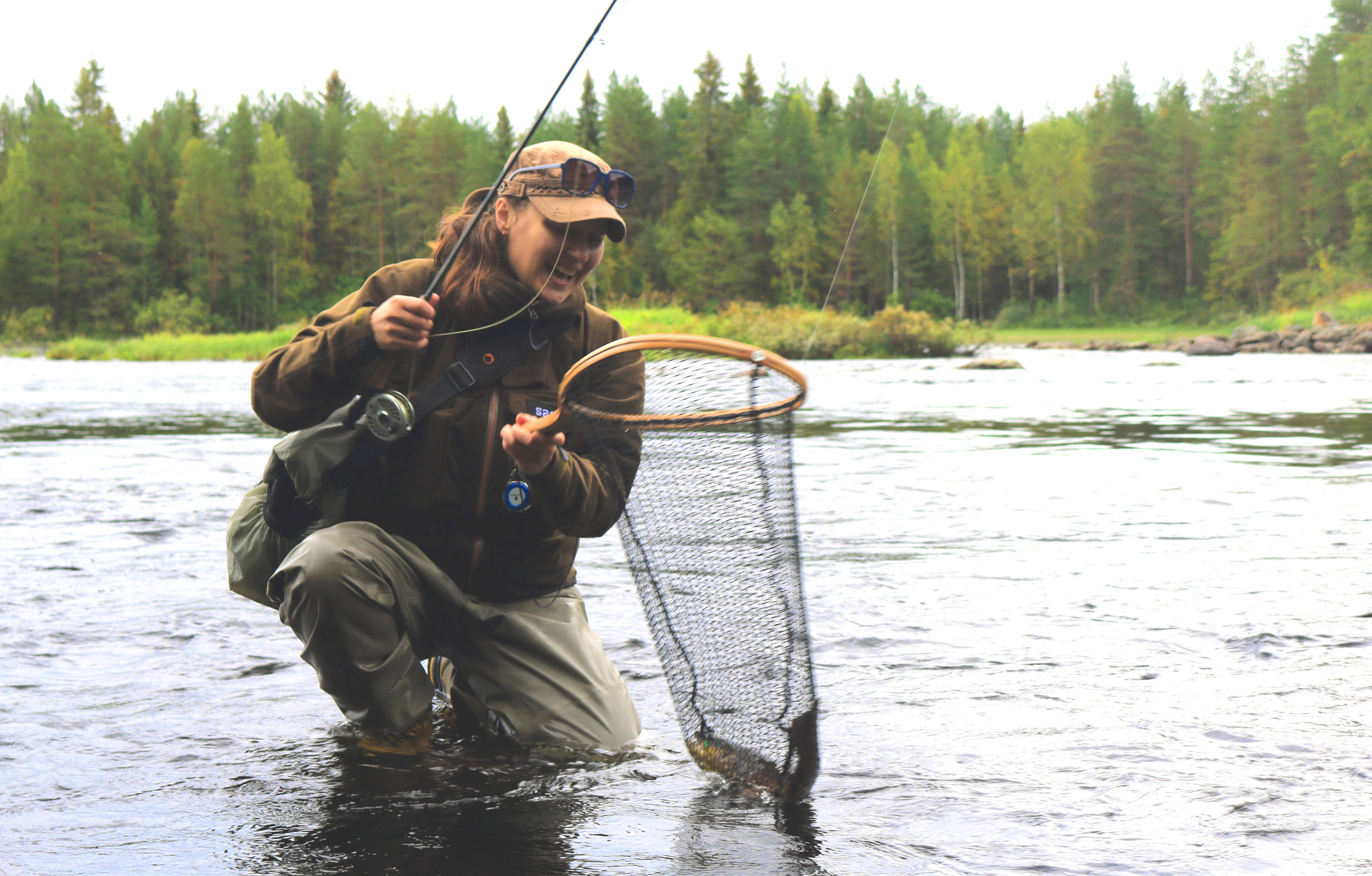 trout fly catch trout