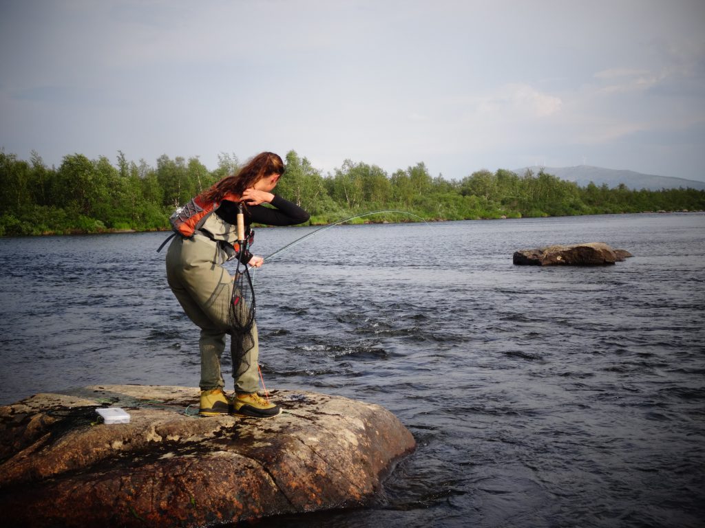 Learn fly fishing