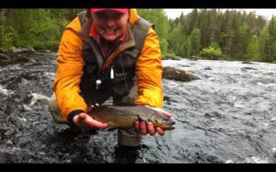 Trout fly fishing in Finland