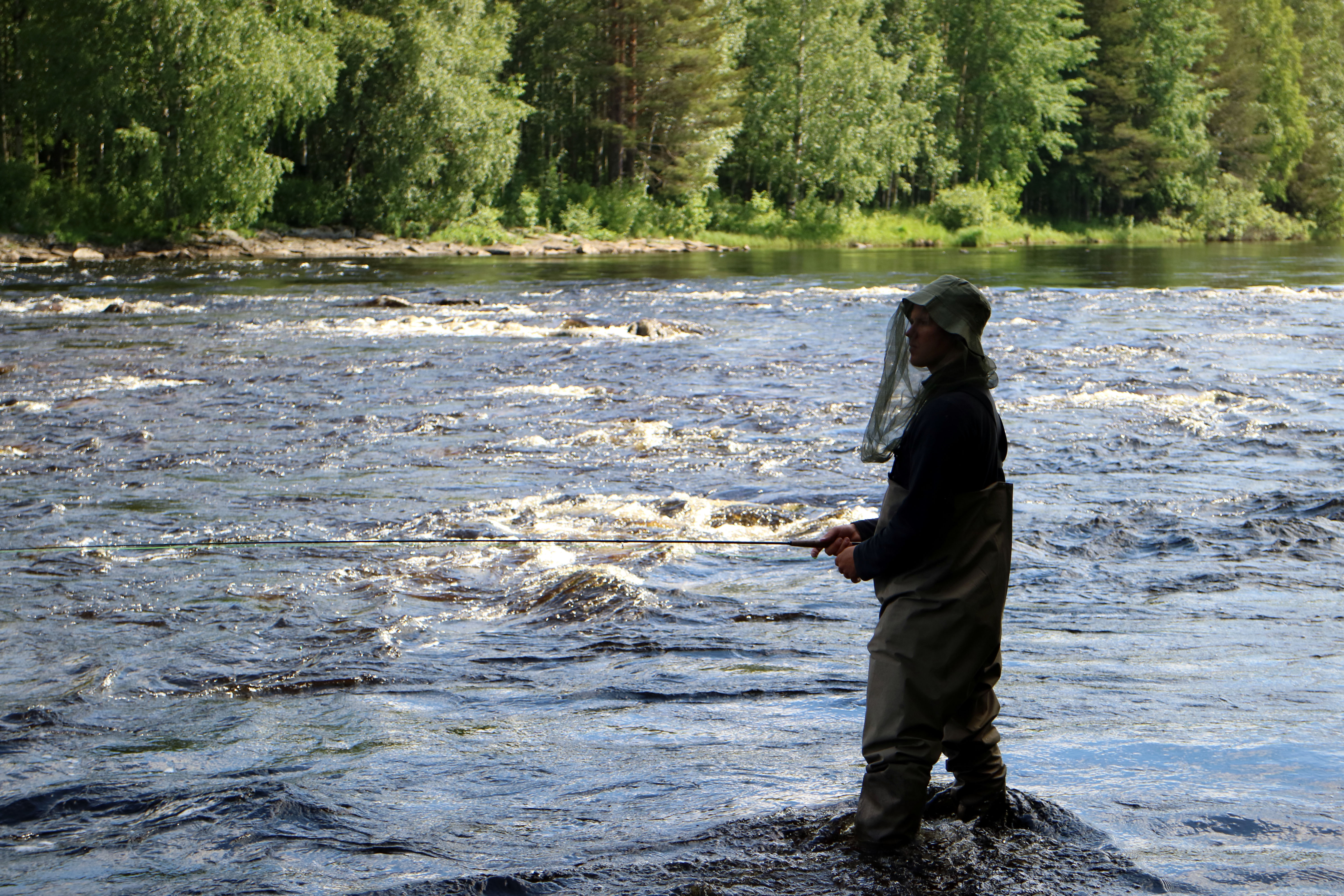 fly fishing basics