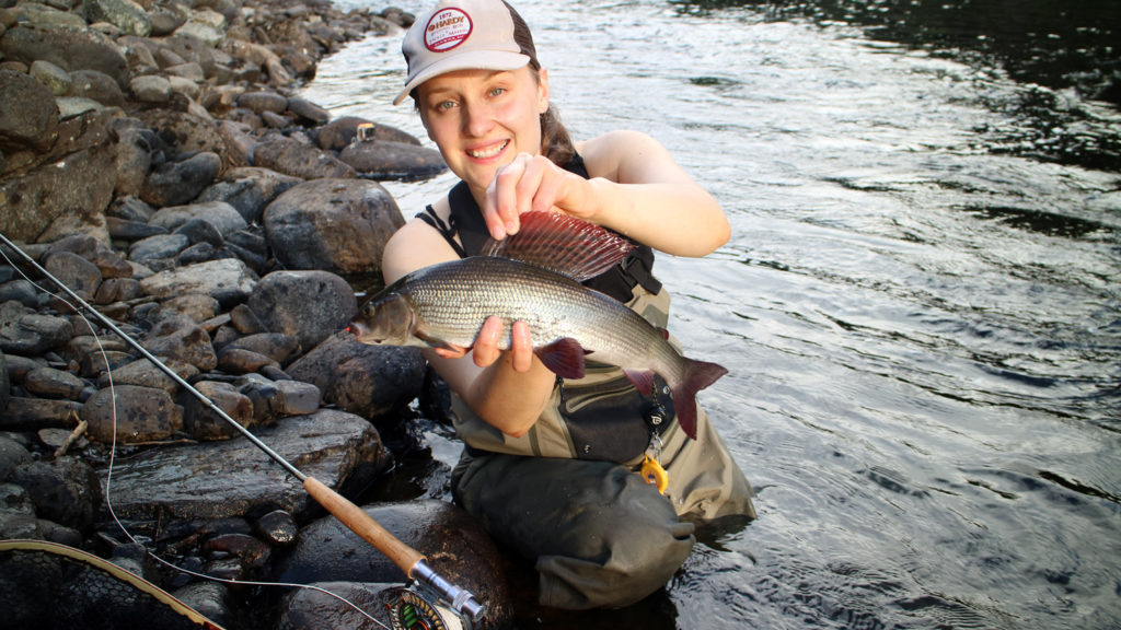 grayling nymphs