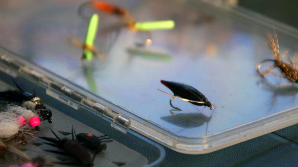 caddis pupa pattern