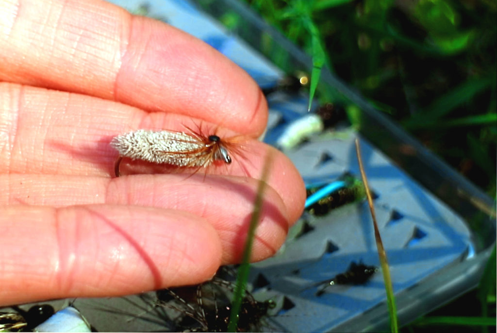 Caddis dry fly drfyfly