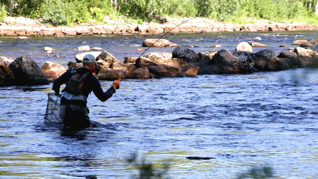 competitive fly fishing