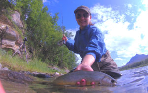 fishing sweden arctic char on dryfly