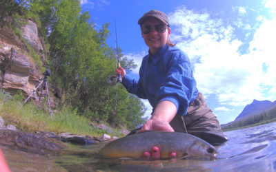 Trout fly fishing - Kajanaclub